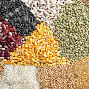 Céréales et légumineuses locales